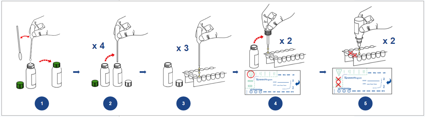 IFU biogram speed_final.PNG