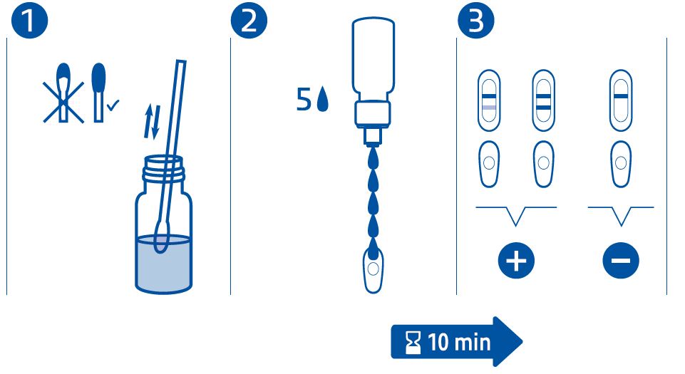 protocole speed parvo.JPG