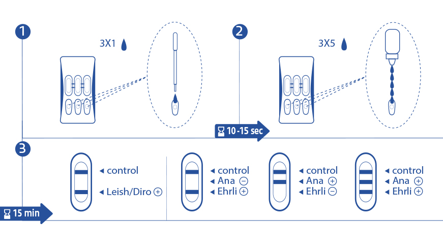 Image du protocole dans XPROTO4LDAE-V_V1_autre format.jpg