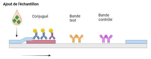étape 1 FR.500x191.JPG