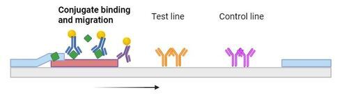 étape 2 EN500x142.JPG