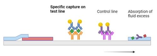 étape 3 EN.500x181.JPG