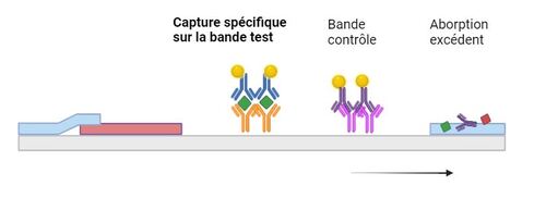 étape 3 FR.500x182.JPG