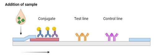 etape 1 EN.500x180.JPG